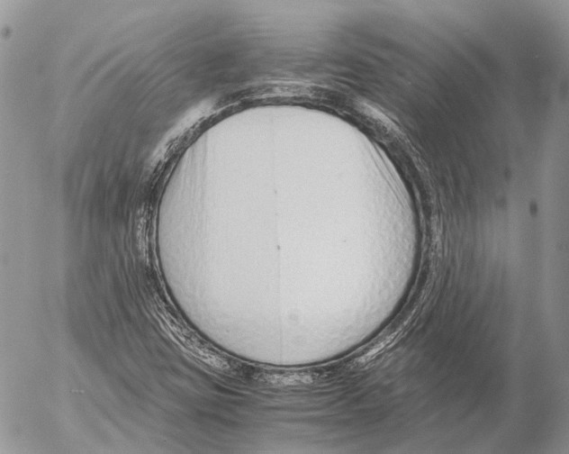 X0000053071403200508081208