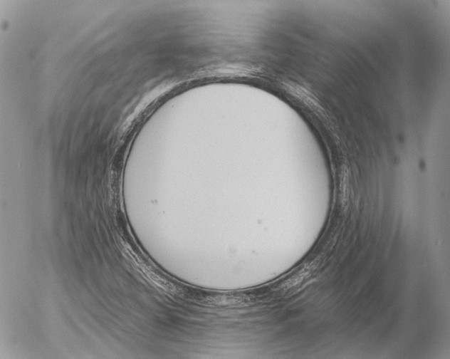 X0000053071404200508081208