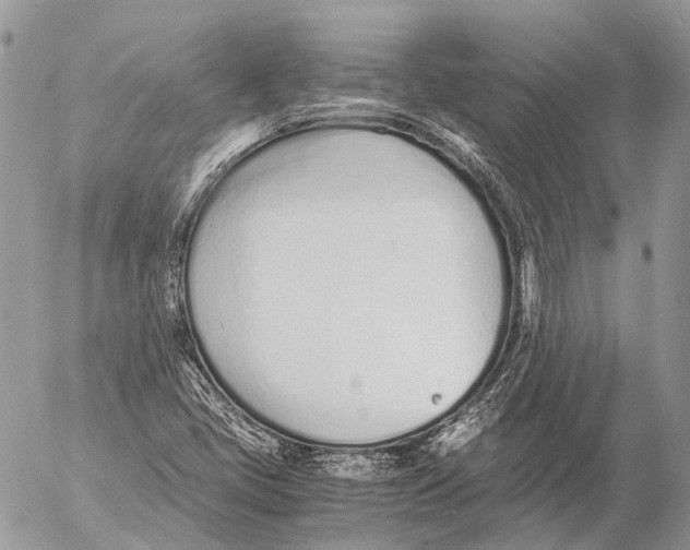 X0000053071405200508081208