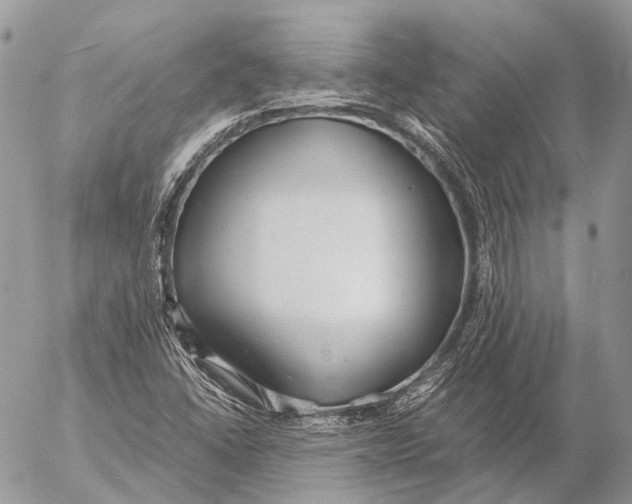 X0000053071406200508081208