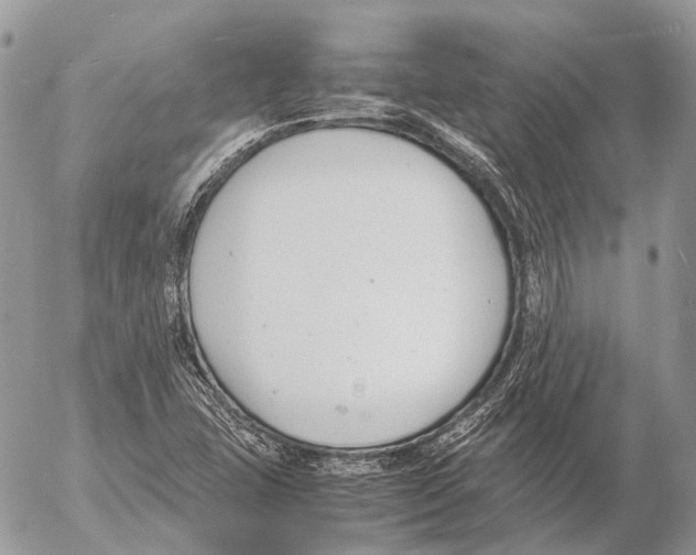 X0000053071407200508081208