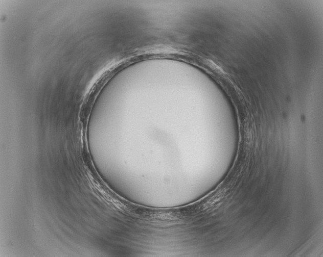 X0000053071408200508081208