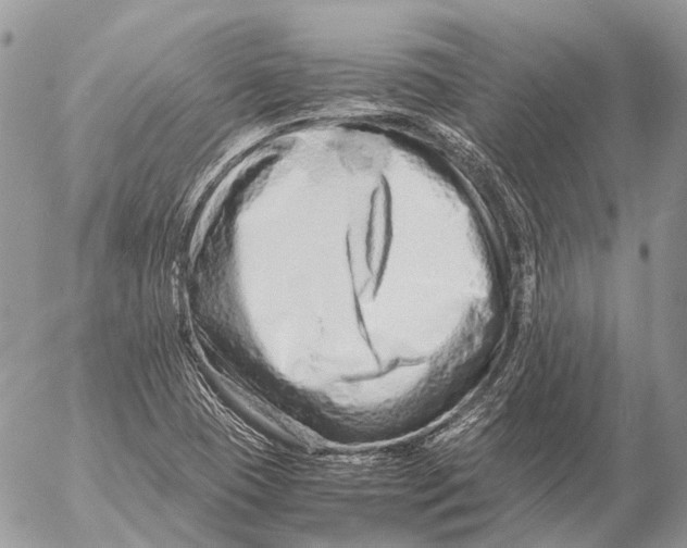 X0000053071409200508081208