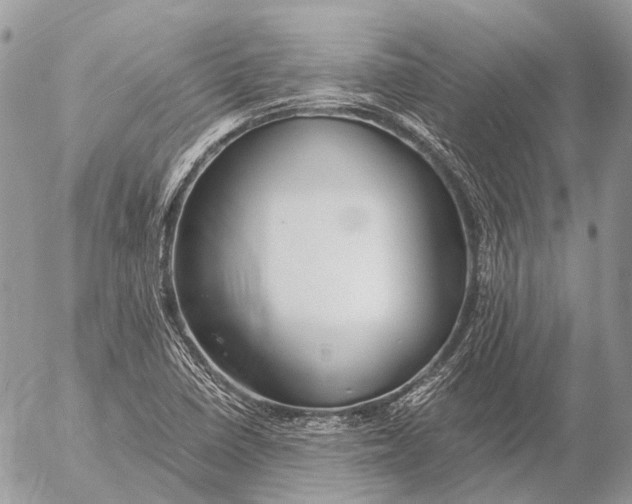 X0000053071410200508081208