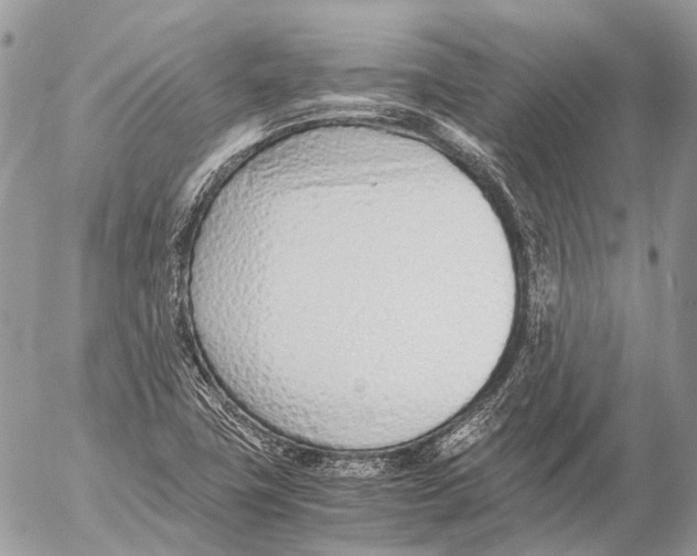 X0000053071411200508081208