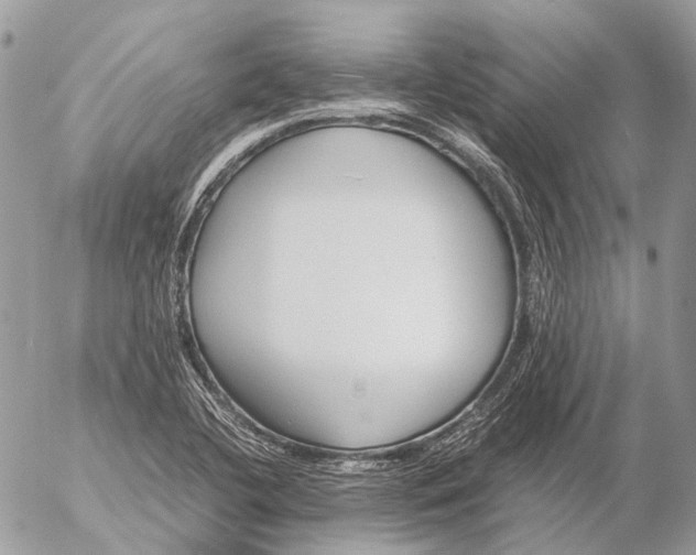 X0000053071412200508081208