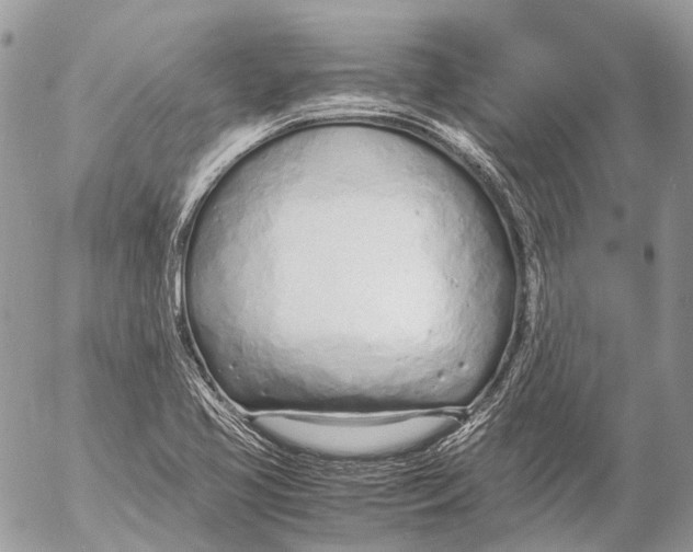 X0000053071413200508081208