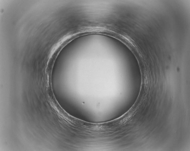 X0000053071414200508081208