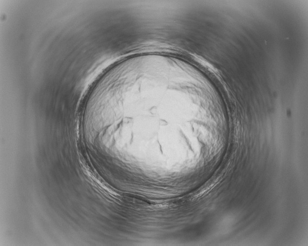 X0000053071415200508081208