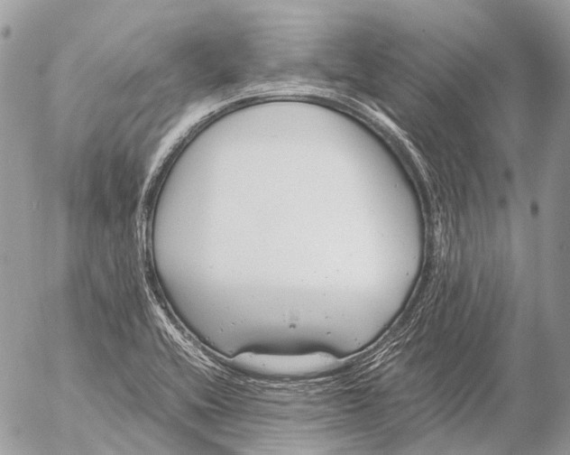 X0000053071416200508081208