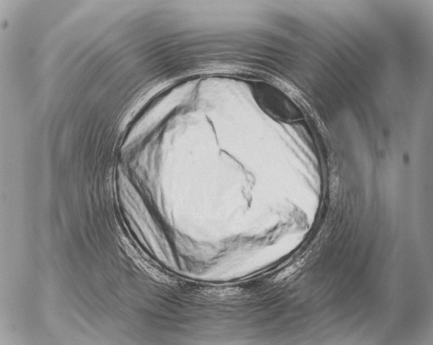 X0000053071417200508081208