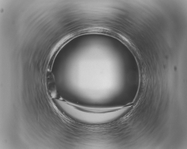 X0000053071418200508081208