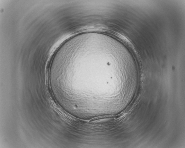 X0000053071419200508081208