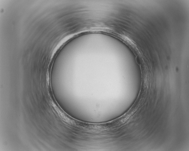 X0000053071420200508081208