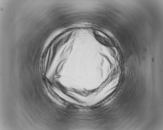 X0000053071421200508081208