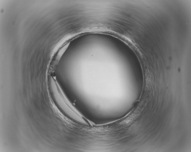 X0000053071422200508081208