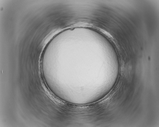 X0000053071423200508081208