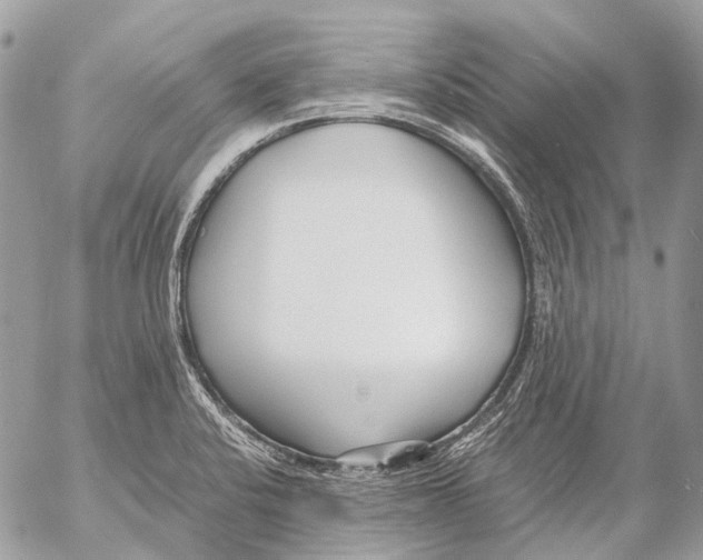 X0000053071424200508081208