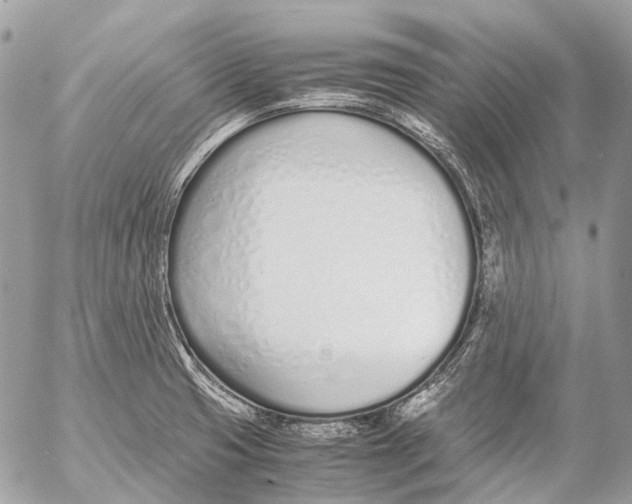 X0000053071425200508081208