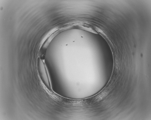 X0000053071426200508081208