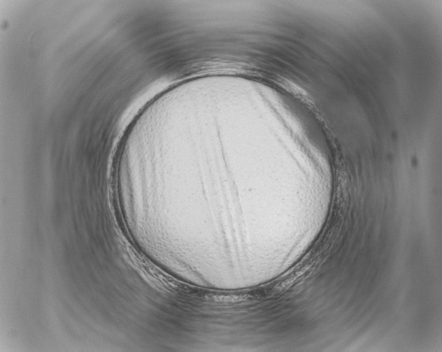 X0000053071427200508081208