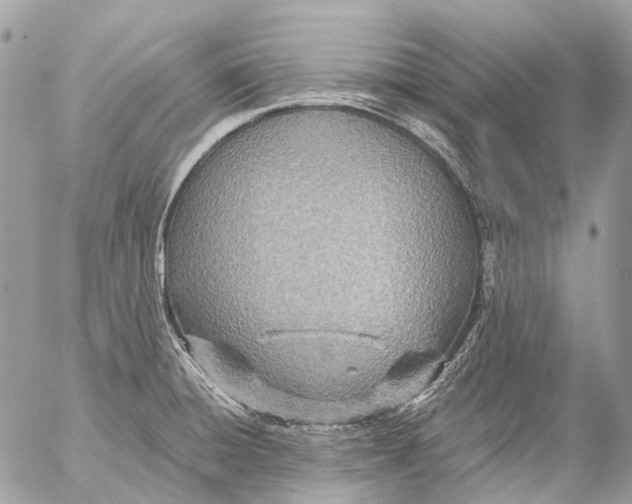 X0000053071428200508081208