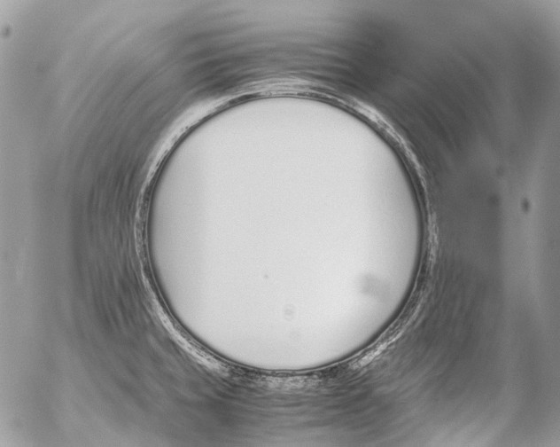 X0000053071429200508081208