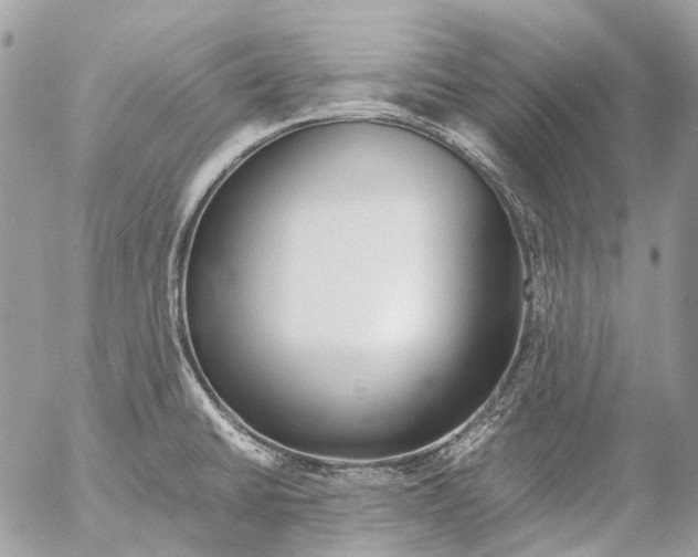 X0000053071430200508081208