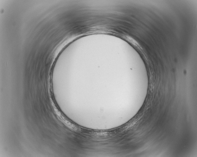 X0000053071431200508081208