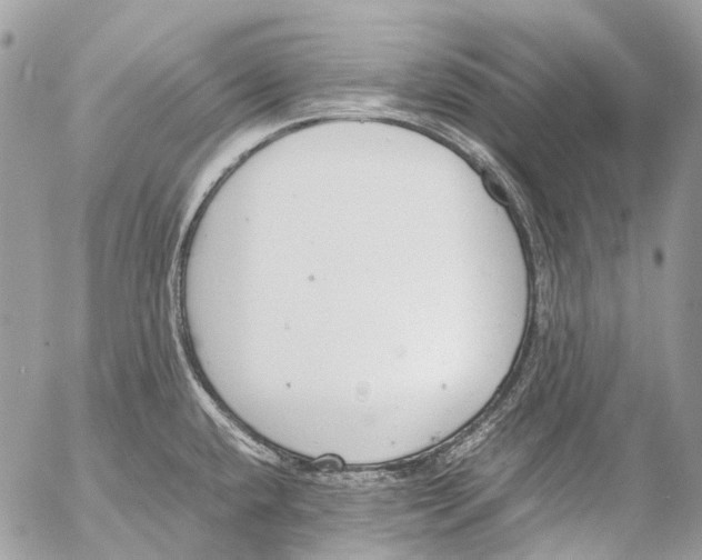 X0000053071432200508081208