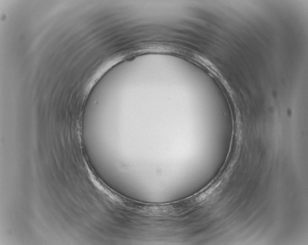 X0000053071433200508081208