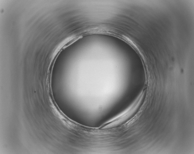 X0000053071434200508081208