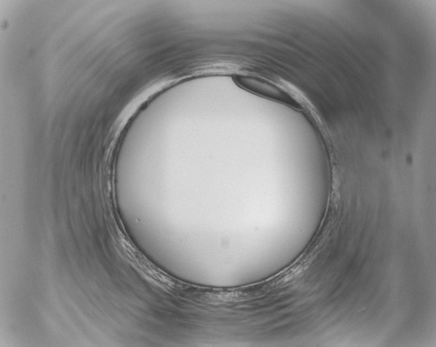 X0000053071435200508081208