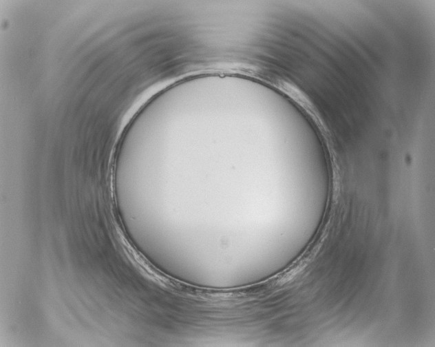 X0000053071436200508081208