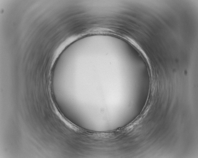 X0000053071437200508081208