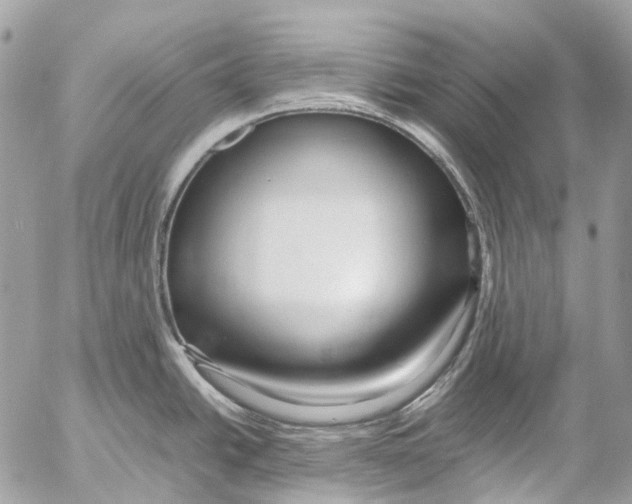 X0000053071438200508081208