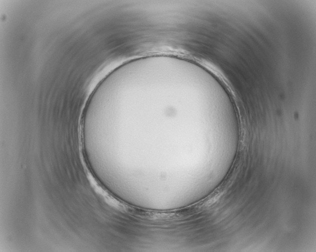 X0000053071439200508081208