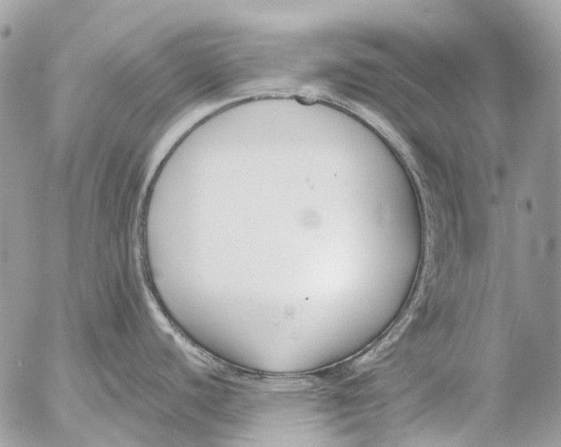 X0000053071440200508081208