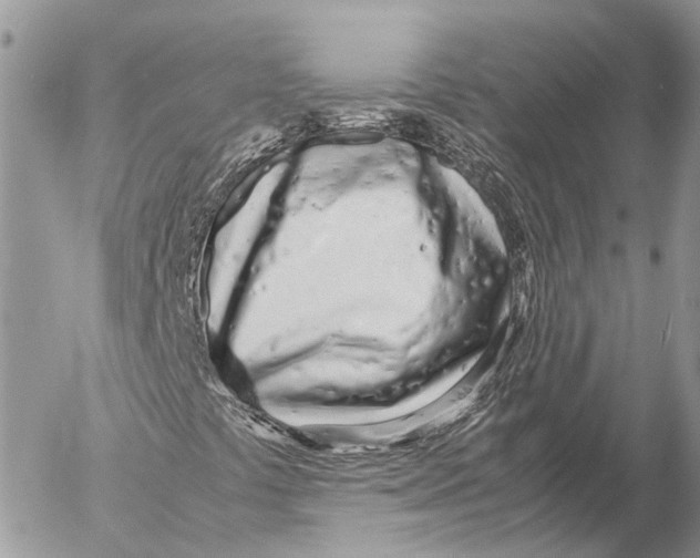 X0000053071441200508081208