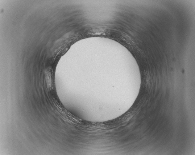 X0000053071442200508081208