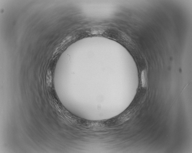 X0000053071443200508081208