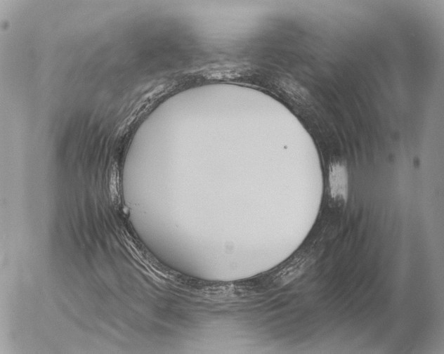 X0000053071444200508081207