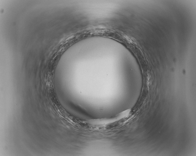 X0000053071445200508081207