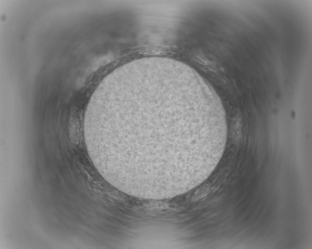 X0000053071446200508081207