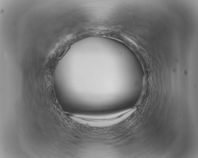 X0000053071447200508081207