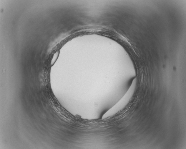 X0000053071448200508081207