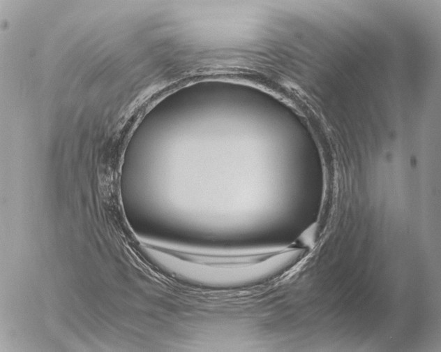 X0000053071449200508081207