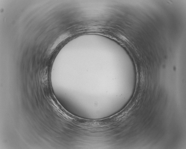 X0000053071450200508081207