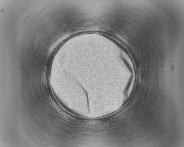 X0000053071452200508081207