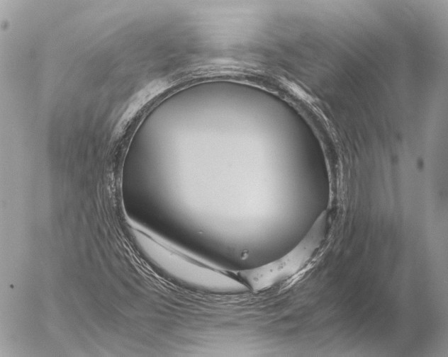 X0000053071453200508081207